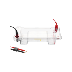  Lab Equipment: Electrophoresis